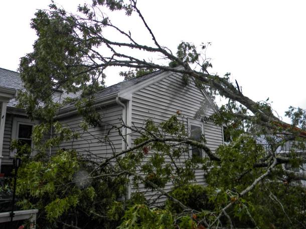 The tree fell onto Susan Mastria's Woodside Avenue home just before 3 a.m. on Saturday, Sept. 26. Photos by Christian Uva