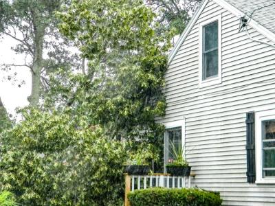 A view of the tree from the side, resting on the porch and the roof.a