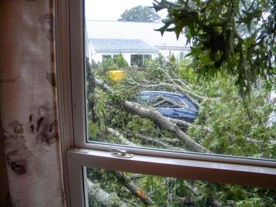 From inside the house, Mastria could see her car covered in branches.