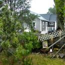 The tree downed the fence dividing her and her neighbor's yards.
