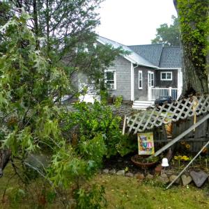 The tree downed the fence dividing her and her neighbor's yards.